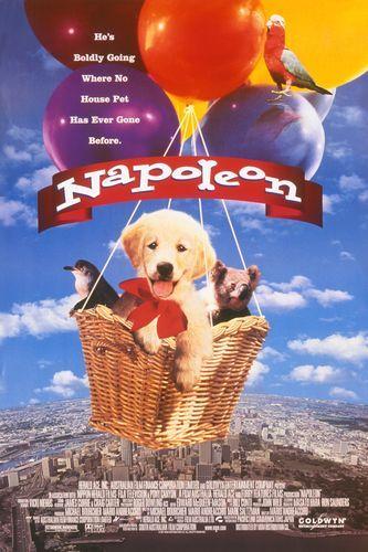 Napoleon - like Popolocrois Story but family-friendly