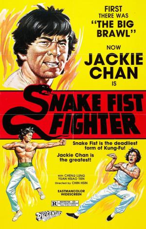 Snake Fist Fighter [Version française]
