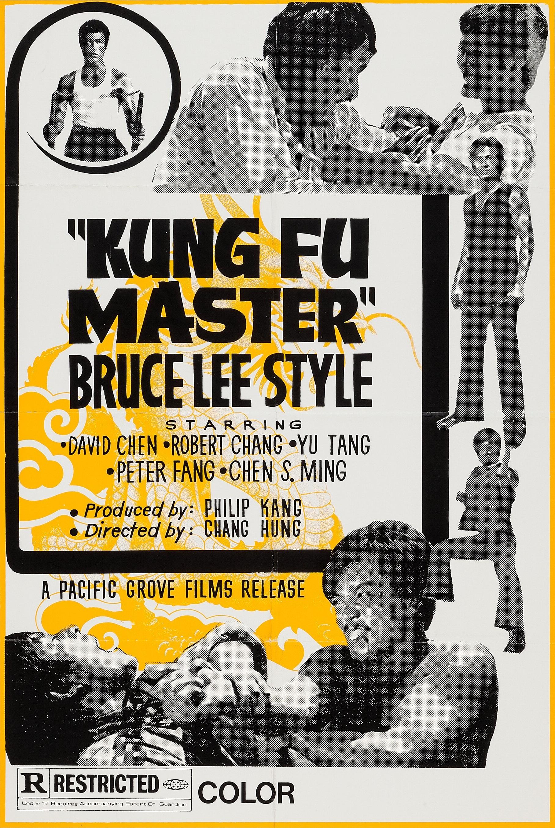 Kung Fu Master - Bruce Lee Style — like Rakhwala but with more action