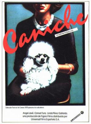 Poodle [Spanish]