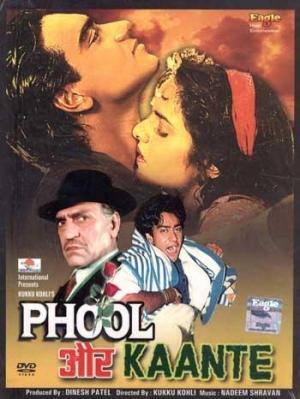 Phool Aur Kaante [Hindi]