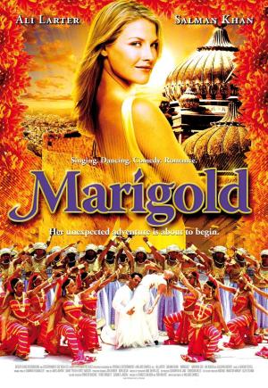 Marigold [Hindi]