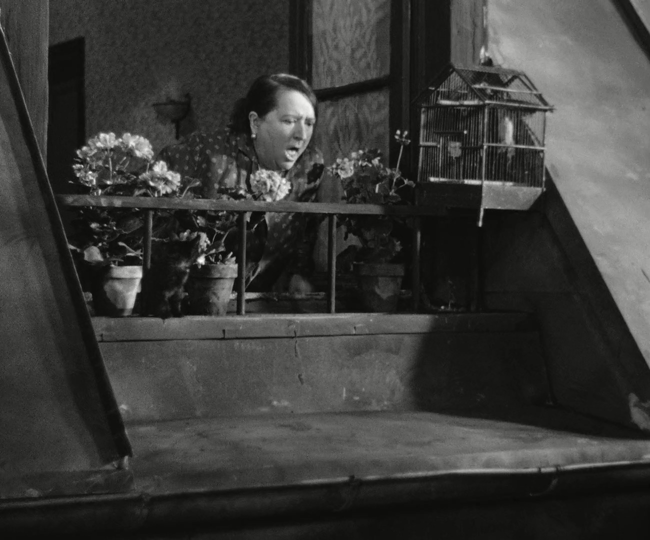 actor Jane Pierson large photo