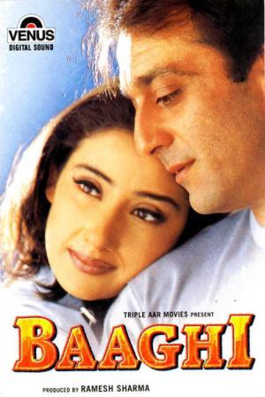 Baaghi [Hindi]