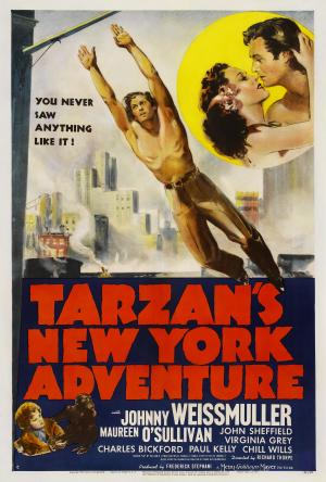 Tarzan's New York Adventure [Russian]