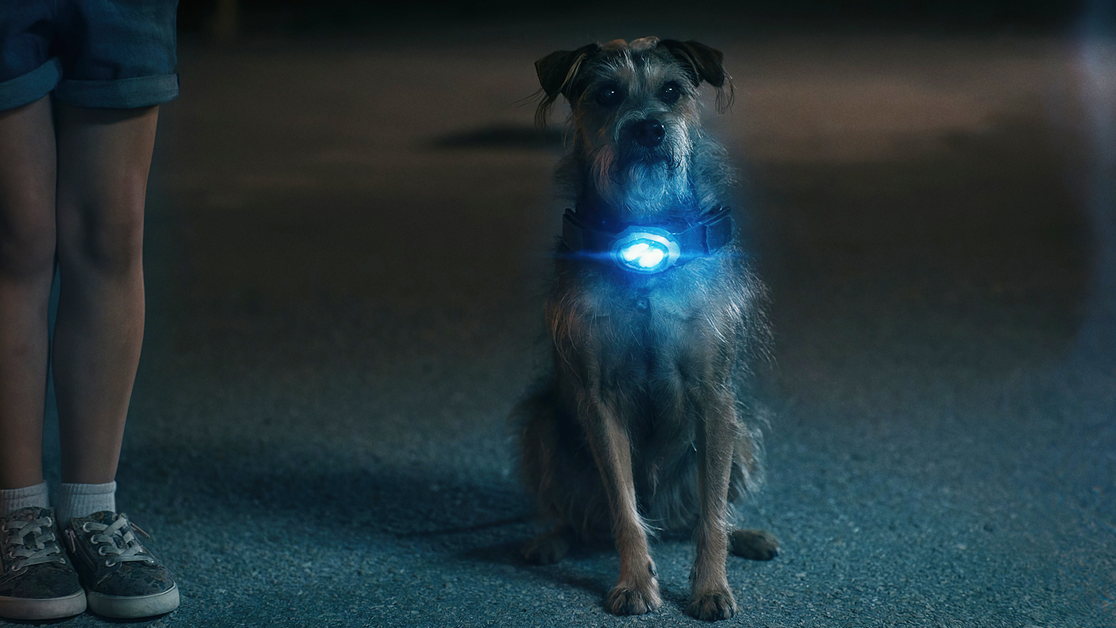 actor Mac large photo