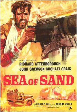 Desert Patrol [Spanish]