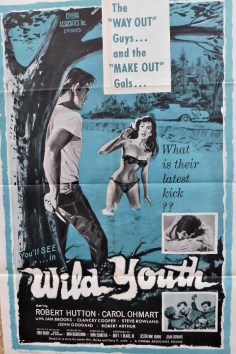 Wild Youth - like The Choppers but with more action