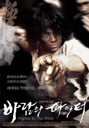 Fighter in the Wind [Hindi]