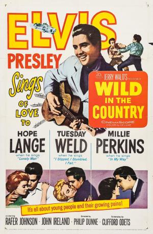 Wild in the Country [Indonesian]