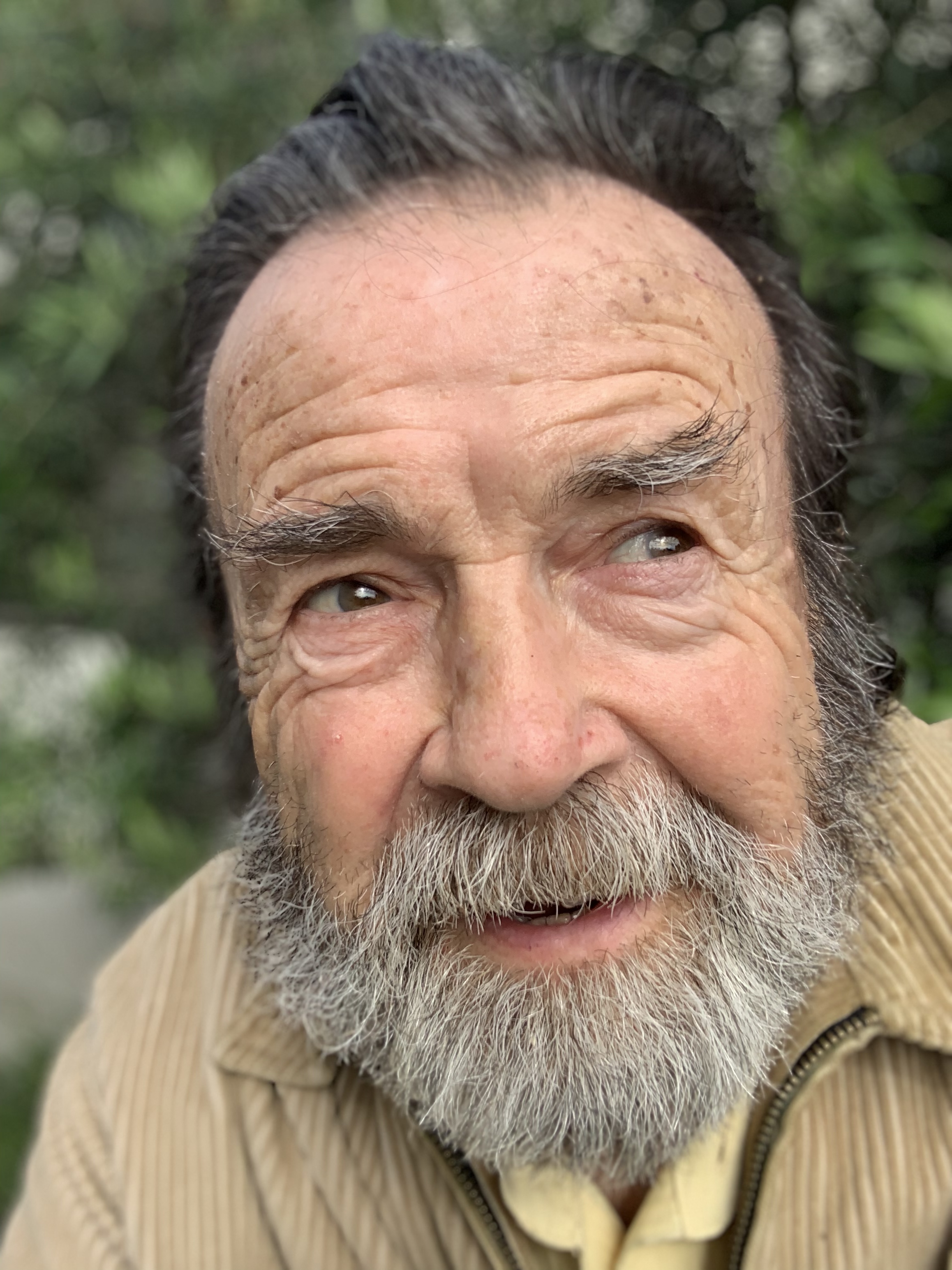 actor Tony Haig large photo