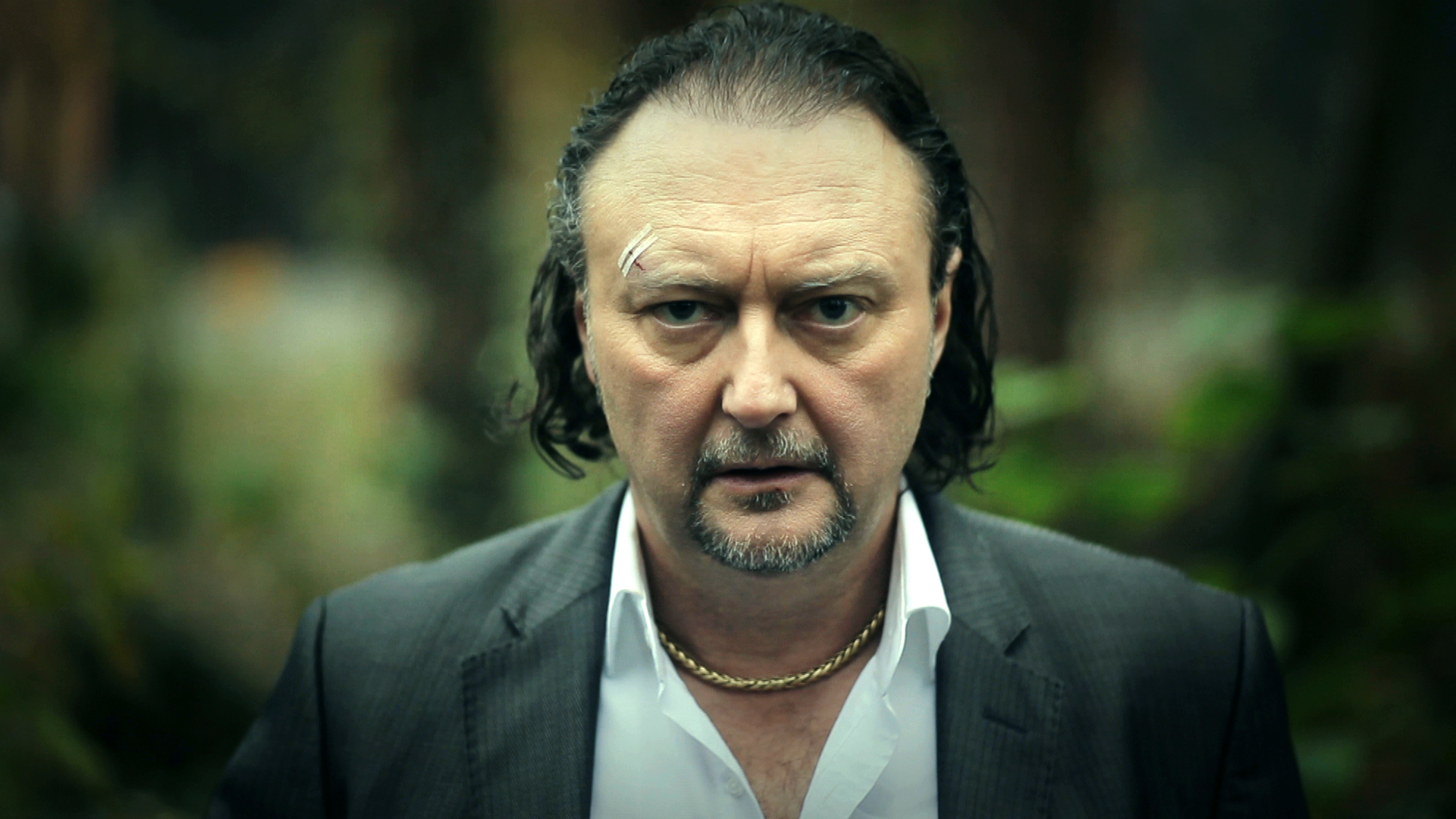 actor Luk Wyns large photo