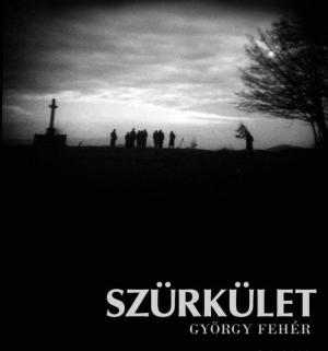 Twilight [Russian]
