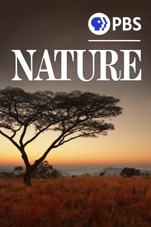 Nature S31-S45
