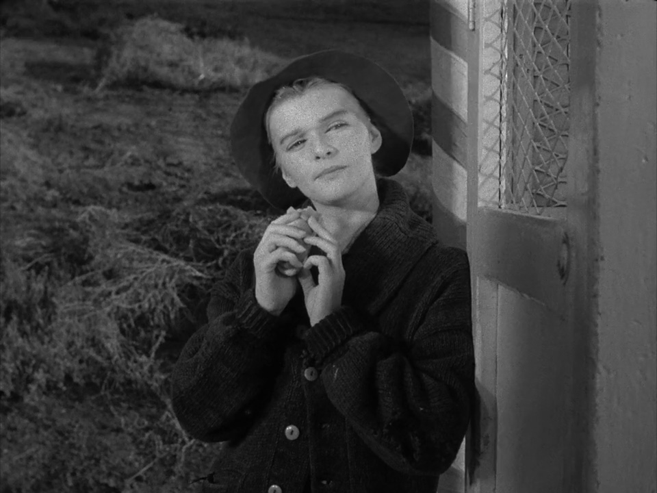 actor Shaye Cogan large photo