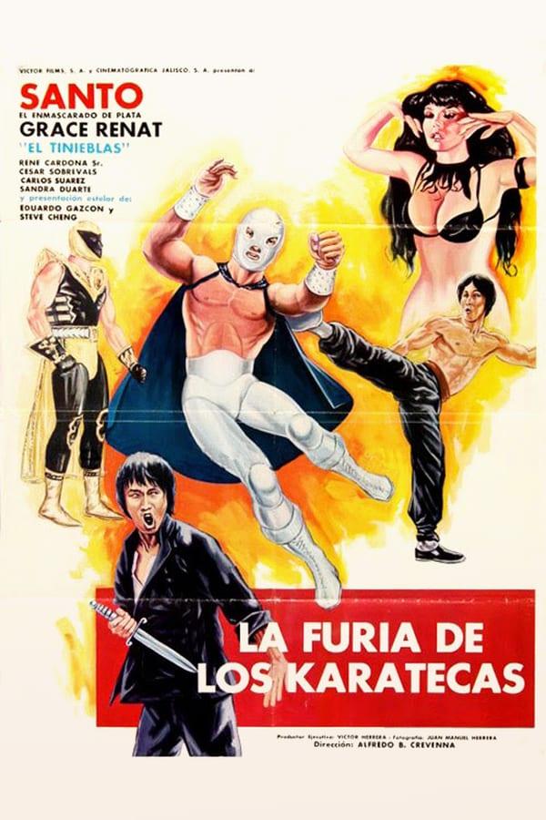 La furia de los karatecas (1982) | Watch on Movi47