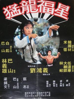 Twins of Kung Fu