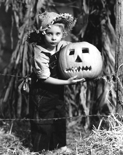 actor Janet Chapman large photo