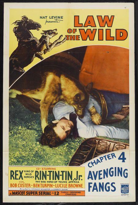 Law of the Wild background