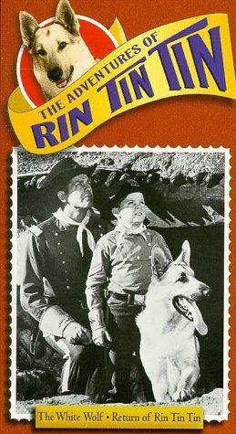 The Adventures of Rin Tin Tin [Version française] S1-S2