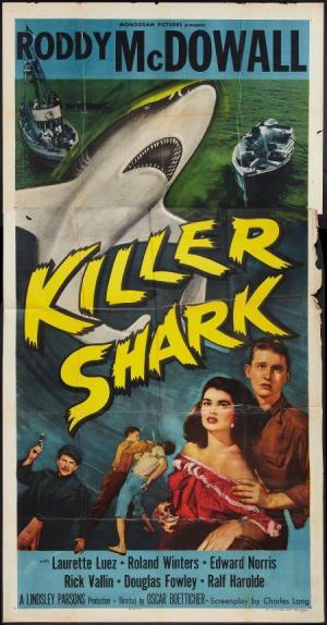 Killer Shark [ترجمة عربية]