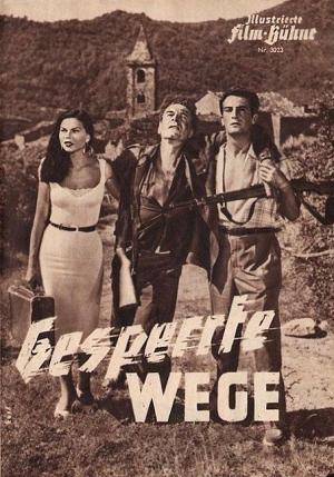 Camino cortado [Spanish]
