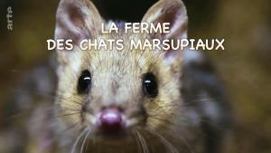 Quoll Farm [Version française]