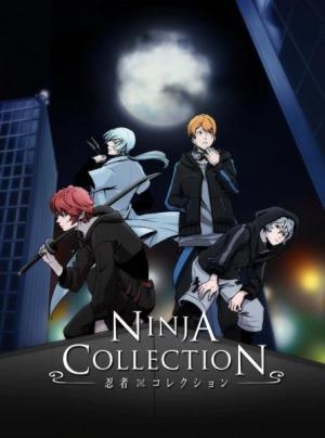 Ninja Collection [Spanish]