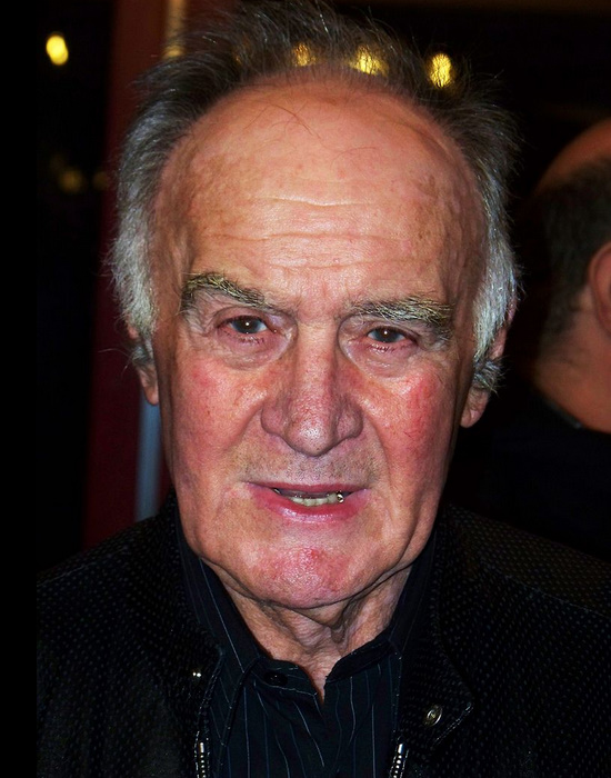 actor Rémy Julienne large photo