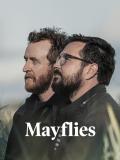 Mayflies