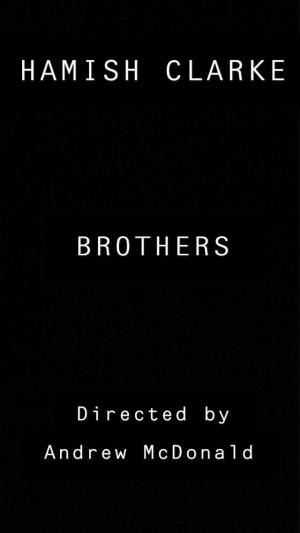 Brothers [Hindi]