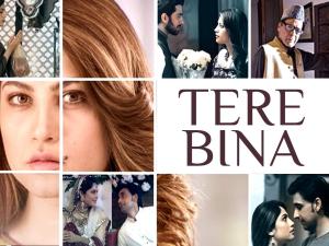 Tere Bina [Urdu]