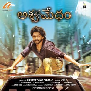 ASHWAMEDHAM [Hindi]