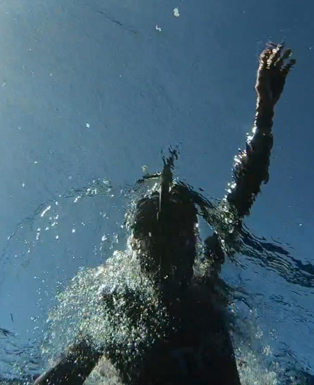 The Swim - like Celebration but longer