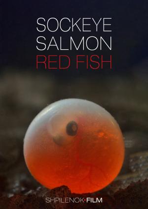 Sockeye Salmon, Red Fish [Version française]
