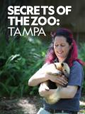 Secrets of the Zoo: Tampa