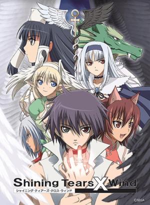 Shainingu tiâzu kurosu windo [Portuguese]