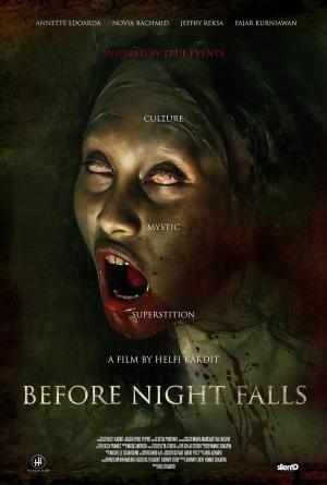 Before Night Falls [Spanish]