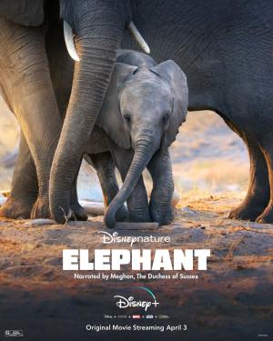 Elephant [Indonesian]