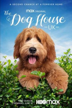 The Dog House S1-S8