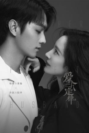 She and Her Perfect Husband [Hindi]