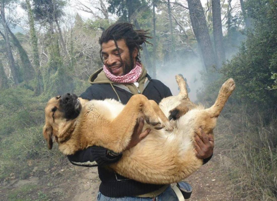 actor Nikos Thomas large photo