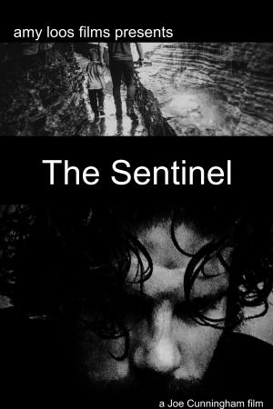 The Sentinel [Hindi]