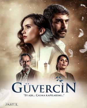 Guvercin [ترجمة عربية]