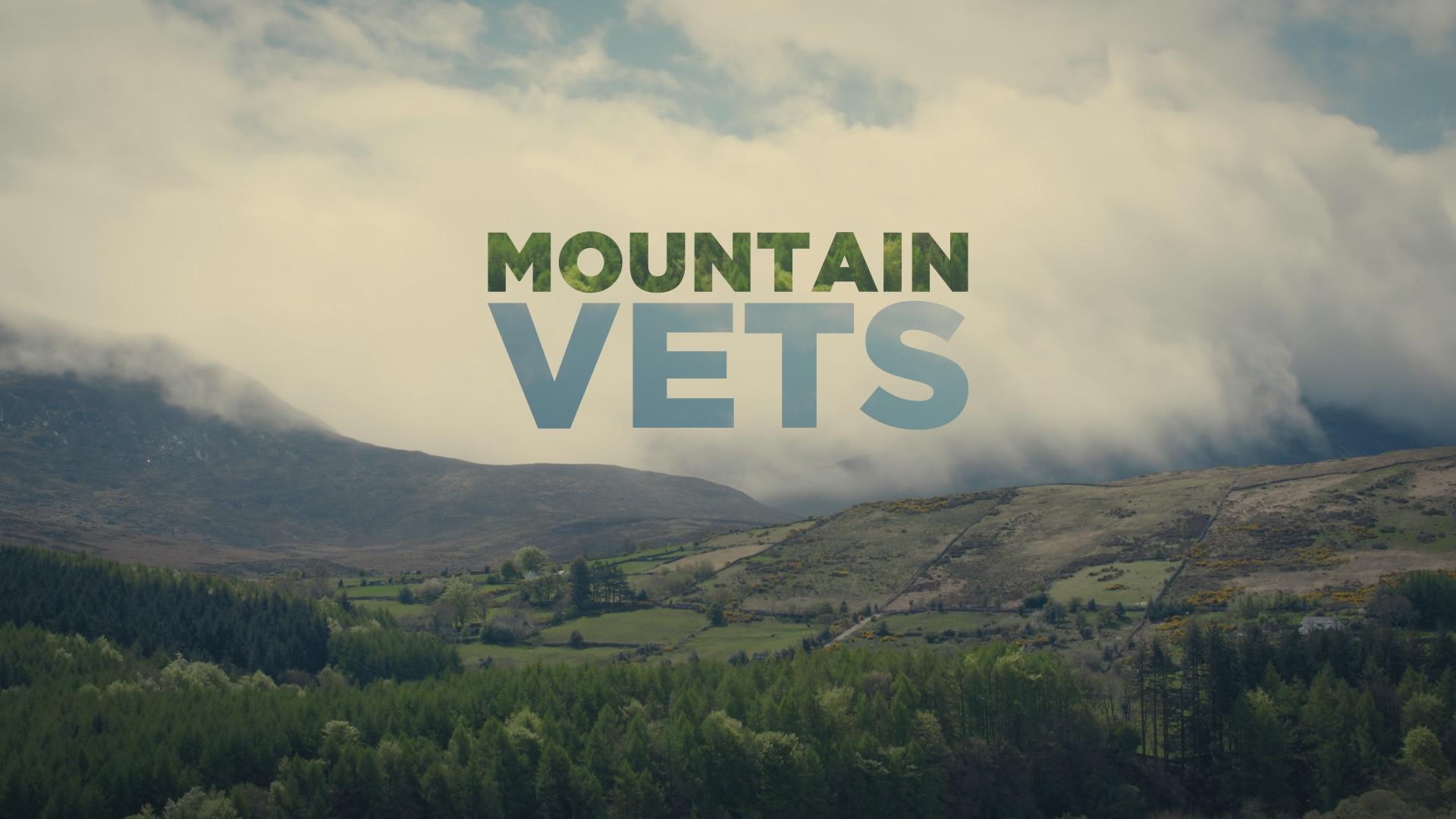 Mountain Vets S1-S3 background