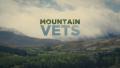 Mountain Vets