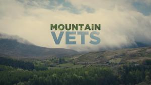 Mountain Vets S1-S3