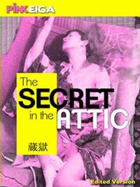 The Secret in the Attic