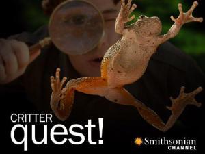Critter Quest!