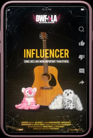 Influencer [Hindi]